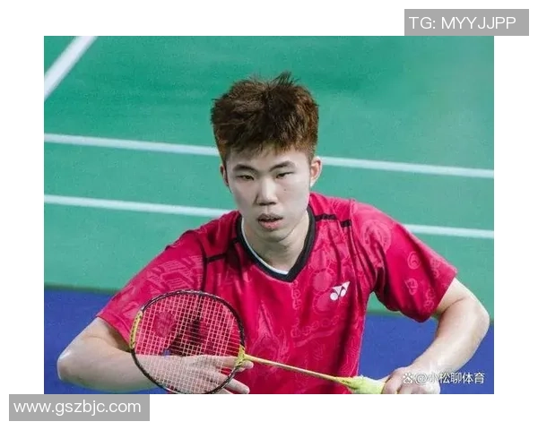 武汉羽毛球队在羽毛球状态排行榜中荣登第五名展现强劲实力与潜力